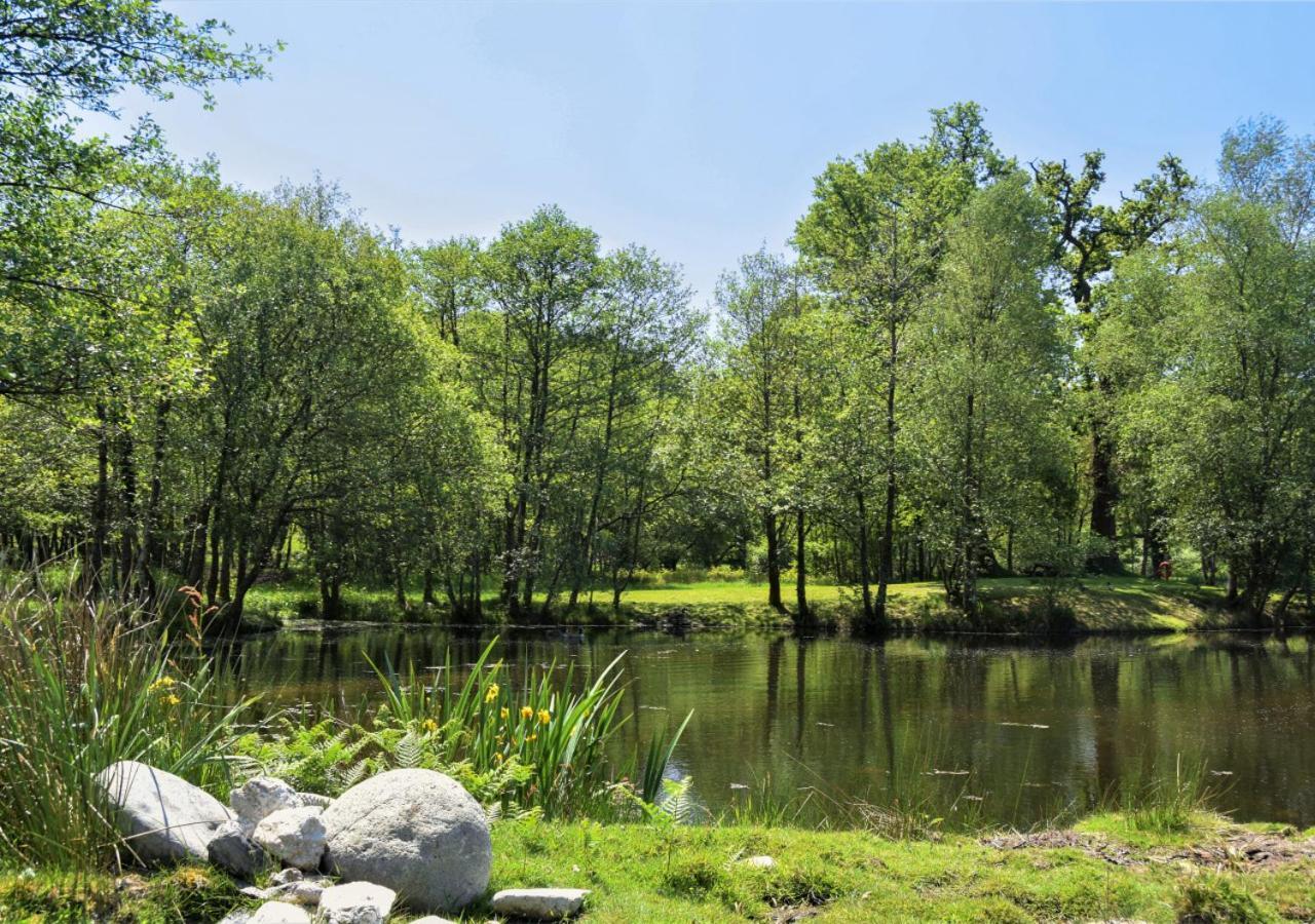 River Lodge - Cornwall Cardinham Ngoại thất bức ảnh